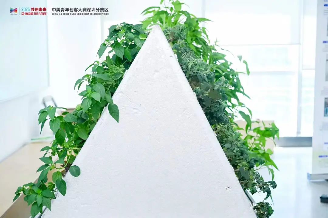 走进大胜 | 恭喜大胜零碳新材料在中美青年创客大赛荣获一等奖！